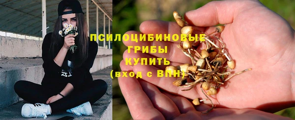 мет Абаза