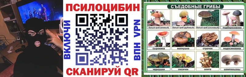 Псилоцибиновые грибы GOLDEN TEACHER  Топки 